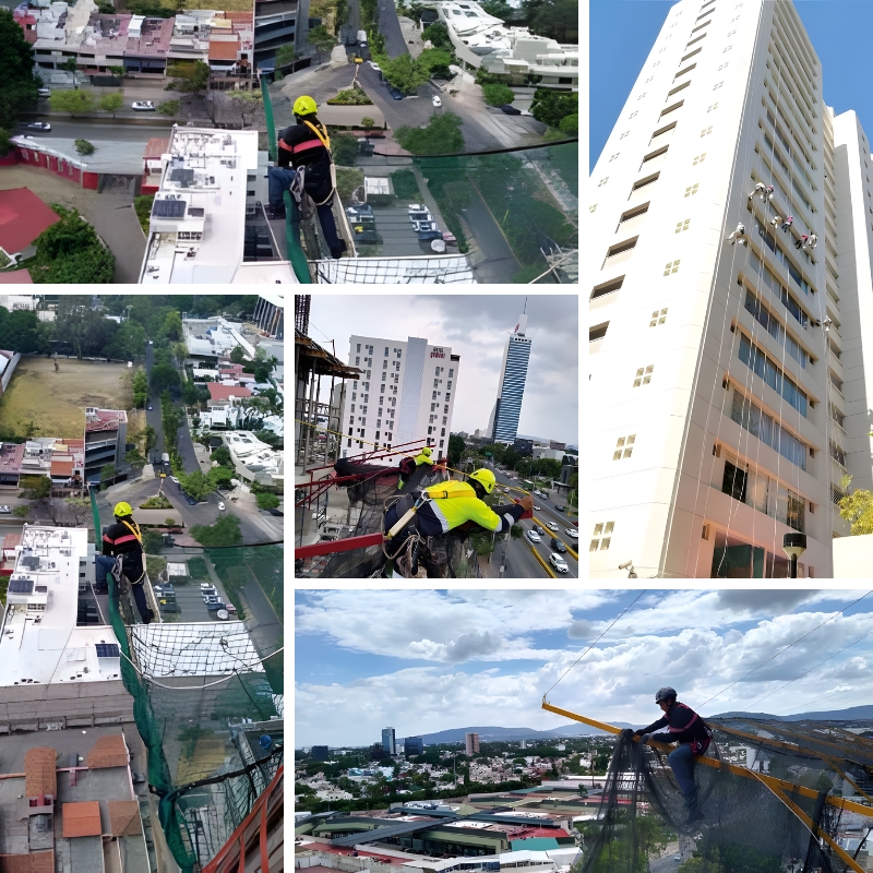 Collage 1